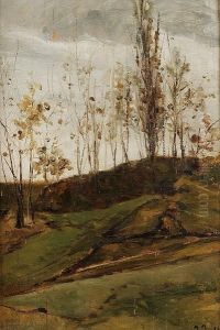 Study Of Trees