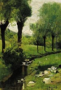 "ruscello Tra Il Verde" 13.5.99 "ruscello Tra Il Verde" 13.5.99