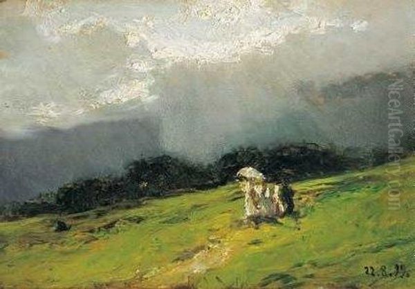 "passeggiata Dopo Il Temporale" 1899 - view 1