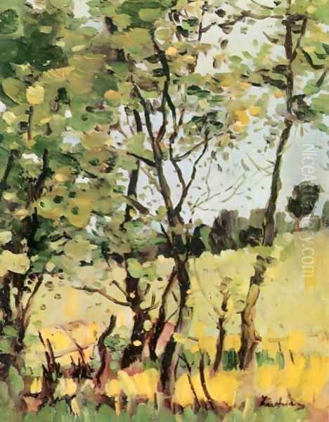 The River Meadow at Poduri, 1909 - view 1
