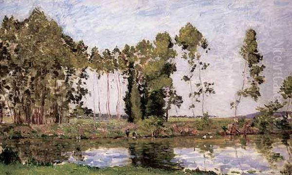 Bord De Riviere Anime - view 1