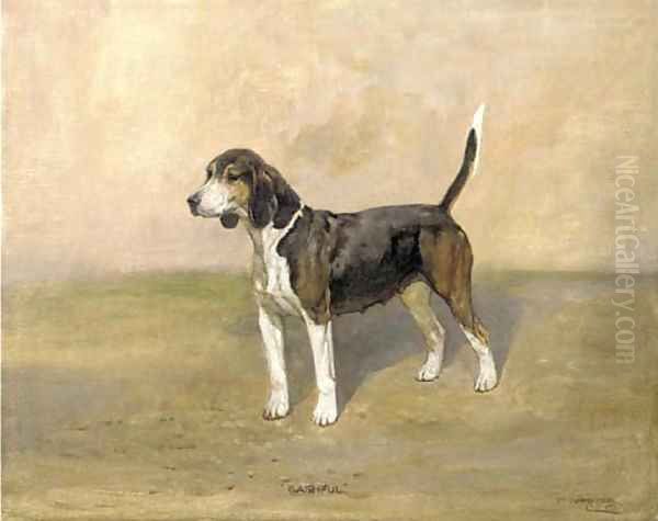 A beagle - view 1