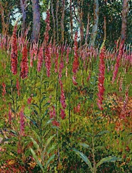 Foxgloves - view 1
