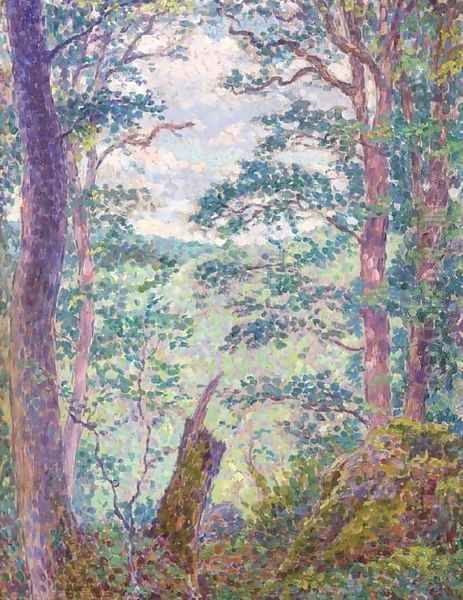 Sous-bois - view 1