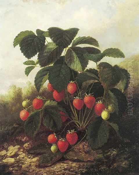 Wild Strawberries - view 1