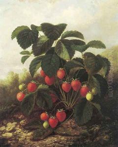 Wild Strawberries by Paul Lacroix