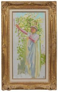 Modele Drape, Au Jardin Modele Drape, Au Jardin