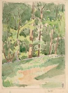 Paysage De Foret