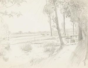 Paysage Paysage