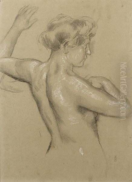 Female Nude Torso - view 1