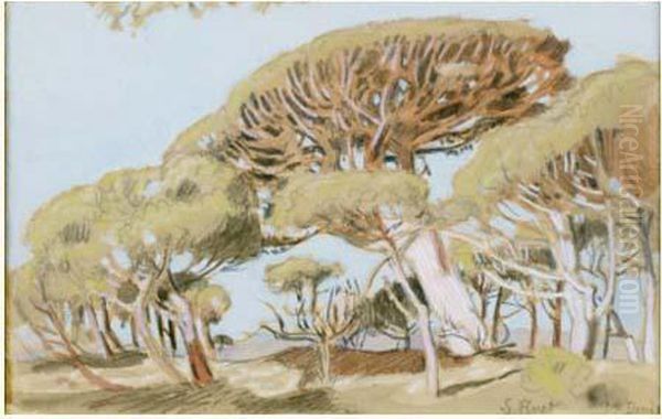 Le Pinet - view 1
