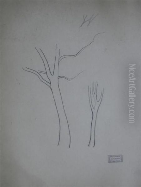 Study Of Trees Vente S.knaublich Stamp - view 1