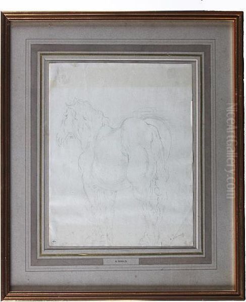 Study Of A Horse - view 1