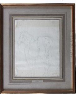 Study Of A Horse