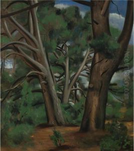 Sous-bois Aux Environs De Saint-remy-de-provence by Andre Derain