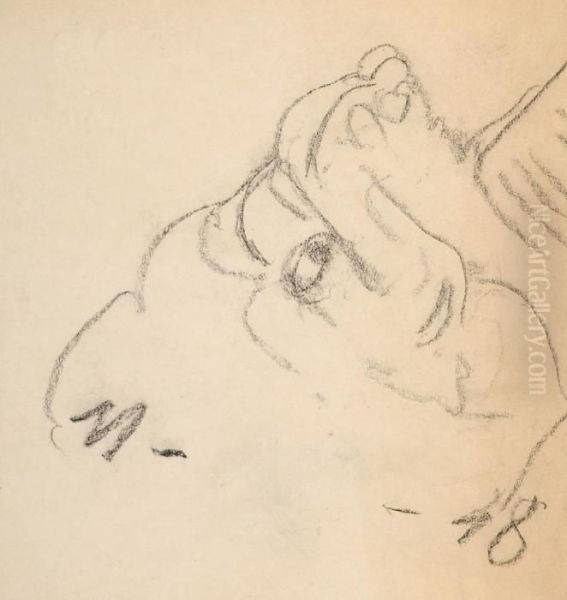 Visage - view 1
