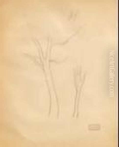 Arbre - view 1