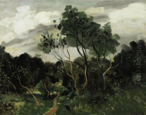 Foret De Fontainbleau - view 1