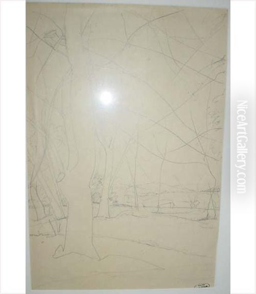 Paysage Aux Grands Arbres - view 1