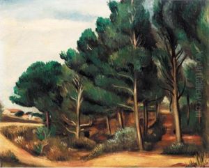 Paysage Du Midi by Andre Derain