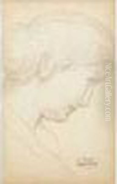 Portrait De Jeune Femme De Profil. - view 1
