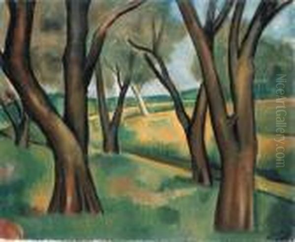 Arbres Cagnes - view 1