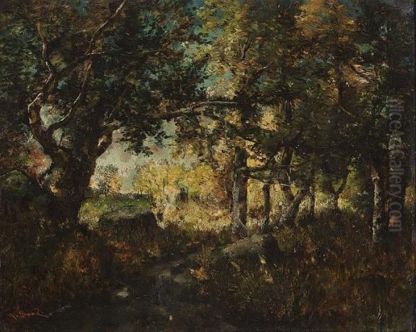 Woodland - view 1