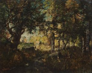 Woodland Woodland