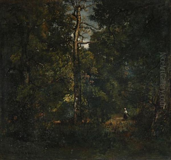 Bucheronne, Chemin Du Dormoir, Sous-bois - view 1