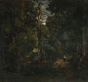 Bucheronne, Chemin Du Dormoir, Sous-bois Bucheronne, Chemin Du Dormoir, Sous-bois