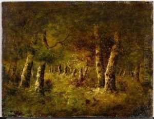 Study Of A Forest Study Of A Forest