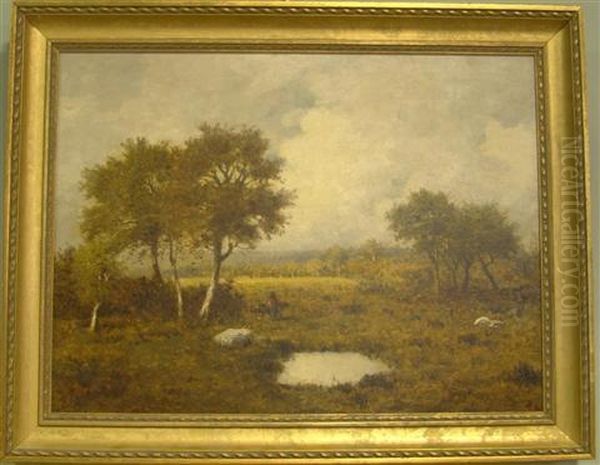 Landscape - view 1