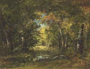 Grande Foret, Sous-bois
