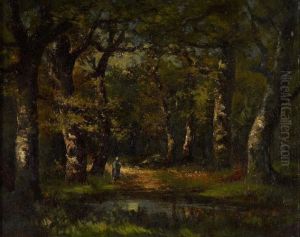 Waldlichtung Mit Gewasser