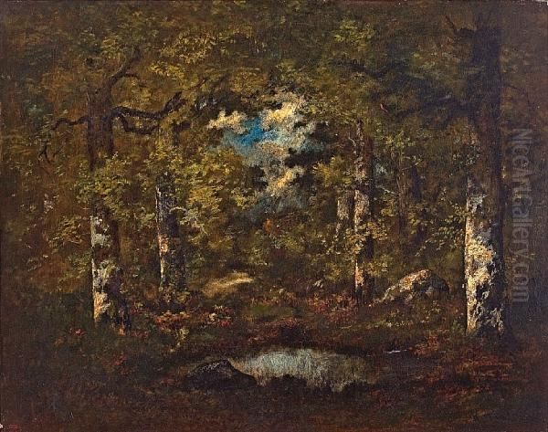 Birch Trees, Boulders And A Pond: Fontainebleau Forest - view 1