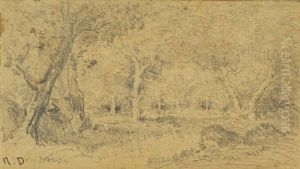 Landscape Landscape