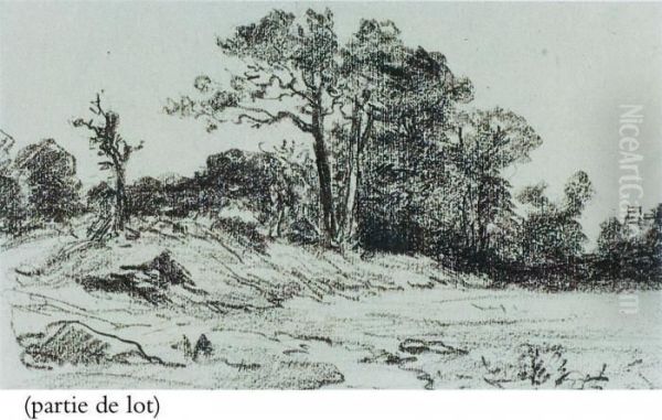 Sentier En Bordure De Bois - view 1