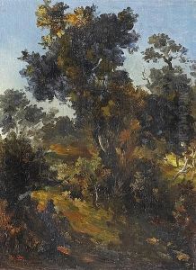 A Wooded Landscape by Narcisse-Virgile D Az De La Pena