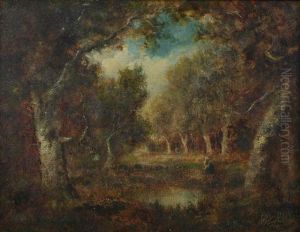 Autumn Clearing