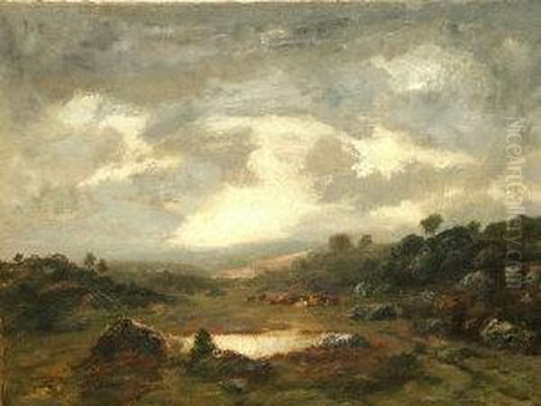 Cattle Resting On A Hillside Beneath Cloudy Skies - view 1
