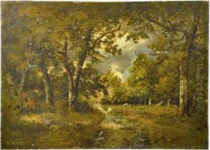 Clairiere En Foret Clairiere En Foret