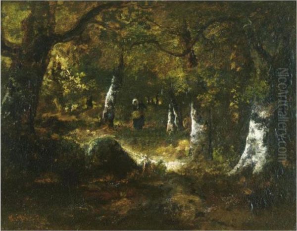 Foret De Fontainebleau - view 1