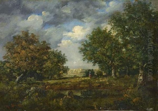 Spatsommerliche Waldlandschaft. - view 1
