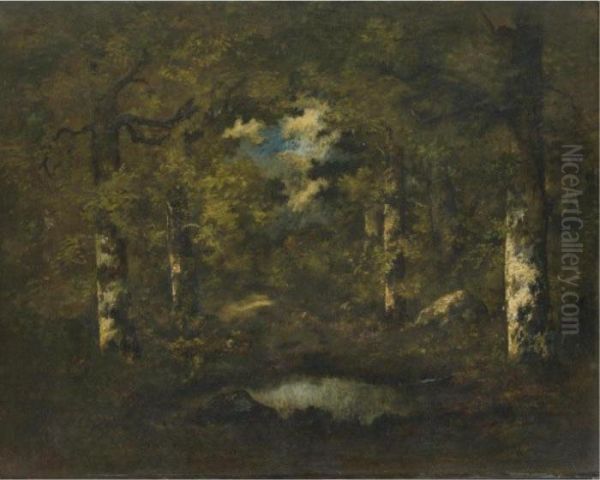 Birch Trees, Boulders And A Pond: Fontainebleau Forest - view 1