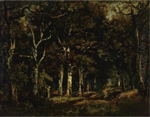Forest Interior Forest Interior