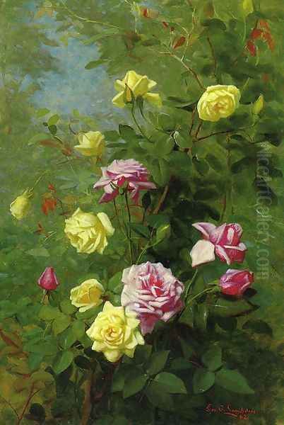 Climbing Roses - view 1