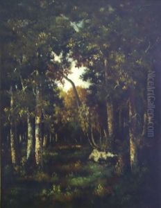 Paisaje Paisaje
