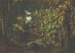 In The Forest In The Forest