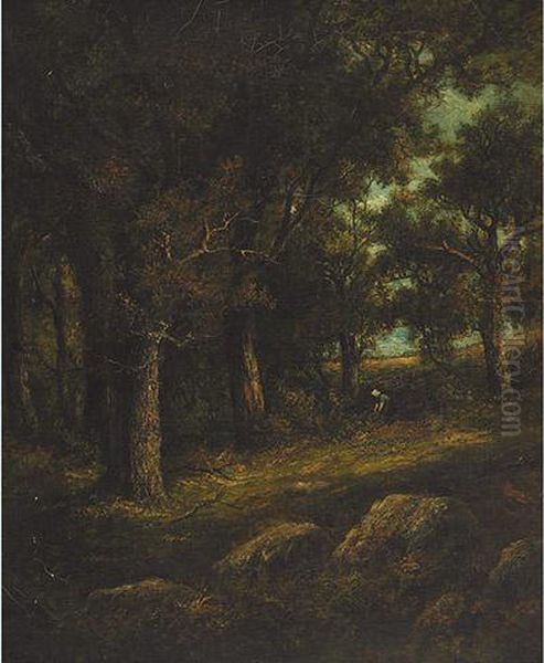 Fontainebleau Woods - view 1