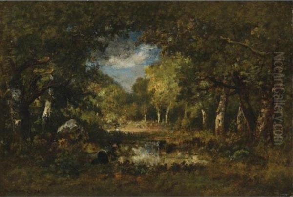 Clairiere En Sous-bois Avec Mare - view 1